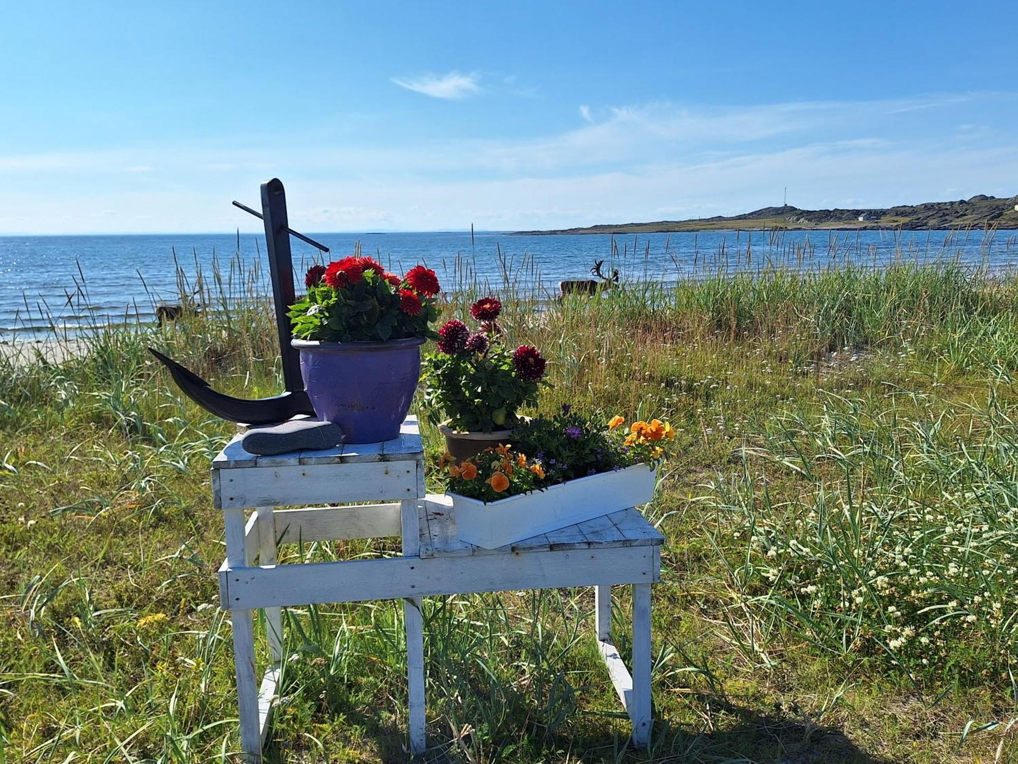 Ytre Kiberg Feriehus Ved Barentshavet - Holiday Home By The Barents Sea מראה חיצוני תמונה